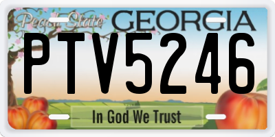 GA license plate PTV5246