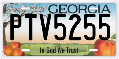 GA license plate PTV5255