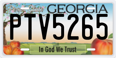 GA license plate PTV5265