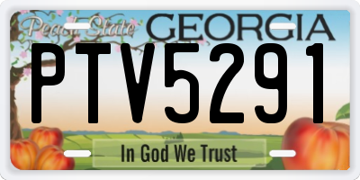 GA license plate PTV5291