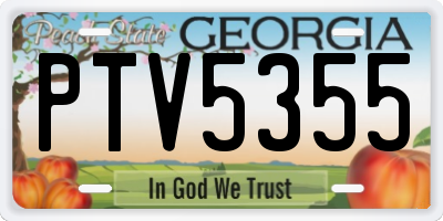 GA license plate PTV5355