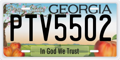 GA license plate PTV5502