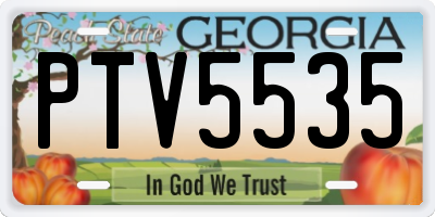 GA license plate PTV5535
