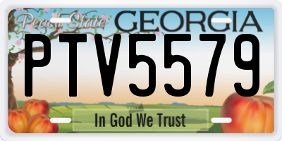 GA license plate PTV5579
