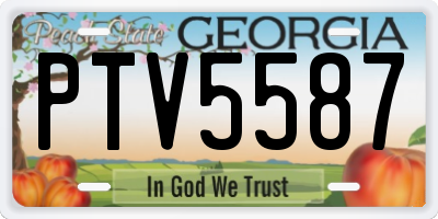 GA license plate PTV5587