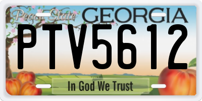 GA license plate PTV5612