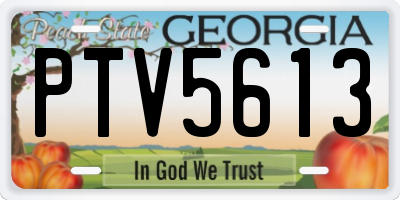 GA license plate PTV5613