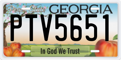 GA license plate PTV5651
