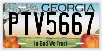 GA license plate PTV5667