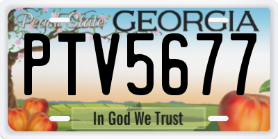 GA license plate PTV5677