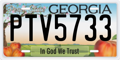 GA license plate PTV5733