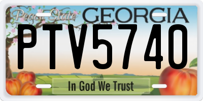 GA license plate PTV5740