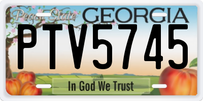 GA license plate PTV5745