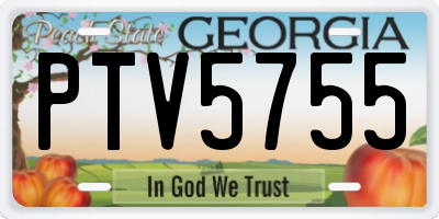 GA license plate PTV5755