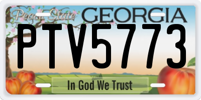 GA license plate PTV5773