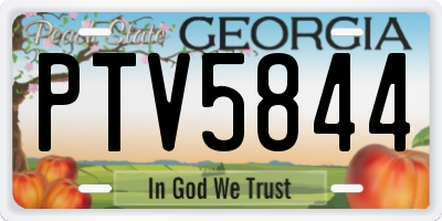 GA license plate PTV5844