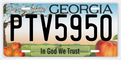 GA license plate PTV5950