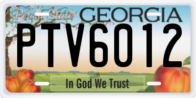 GA license plate PTV6012