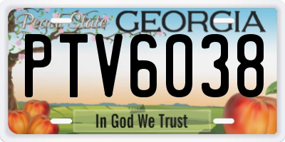 GA license plate PTV6038