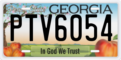 GA license plate PTV6054