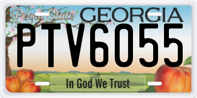GA license plate PTV6055
