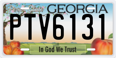 GA license plate PTV6131