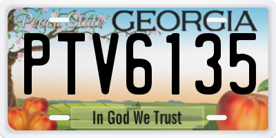 GA license plate PTV6135