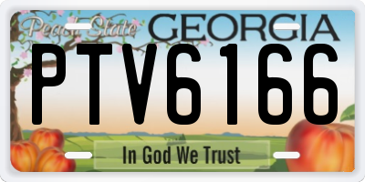 GA license plate PTV6166