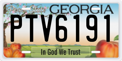 GA license plate PTV6191