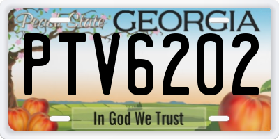GA license plate PTV6202