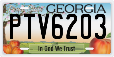 GA license plate PTV6203
