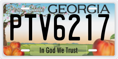 GA license plate PTV6217