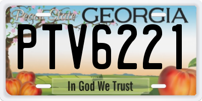GA license plate PTV6221