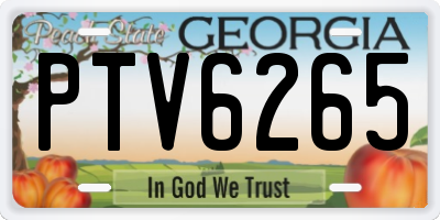 GA license plate PTV6265