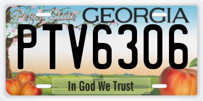 GA license plate PTV6306