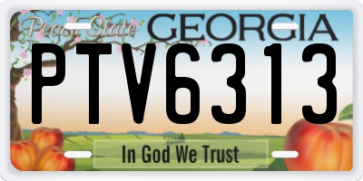 GA license plate PTV6313
