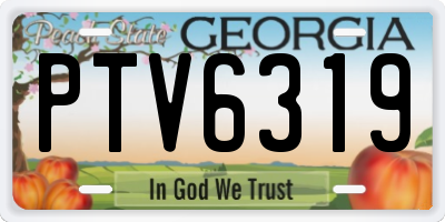 GA license plate PTV6319