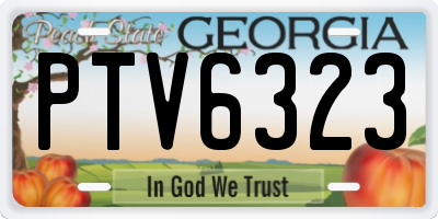 GA license plate PTV6323