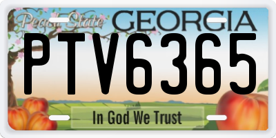 GA license plate PTV6365