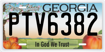 GA license plate PTV6382