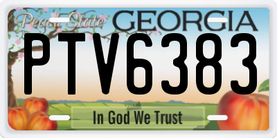 GA license plate PTV6383