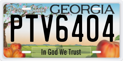 GA license plate PTV6404