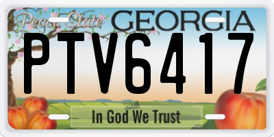 GA license plate PTV6417