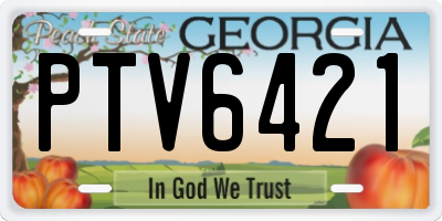 GA license plate PTV6421