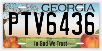GA license plate PTV6436