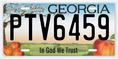 GA license plate PTV6459