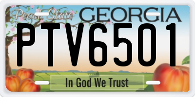 GA license plate PTV6501