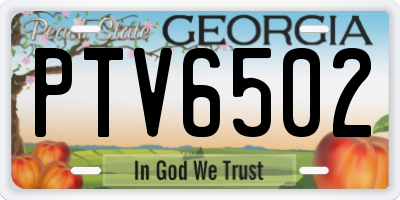 GA license plate PTV6502