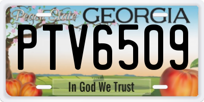 GA license plate PTV6509