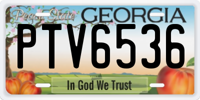 GA license plate PTV6536